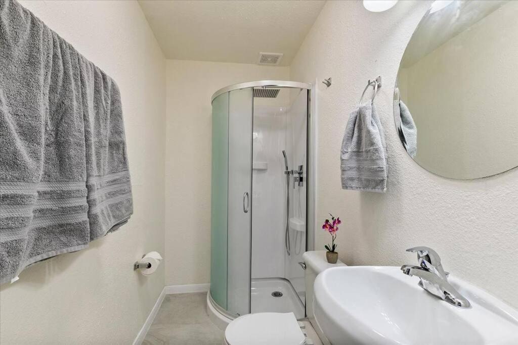 Lucky House - Tranquility In The Middle Of Houston - Tv In Every Room - 300 M2 Extérieur photo
