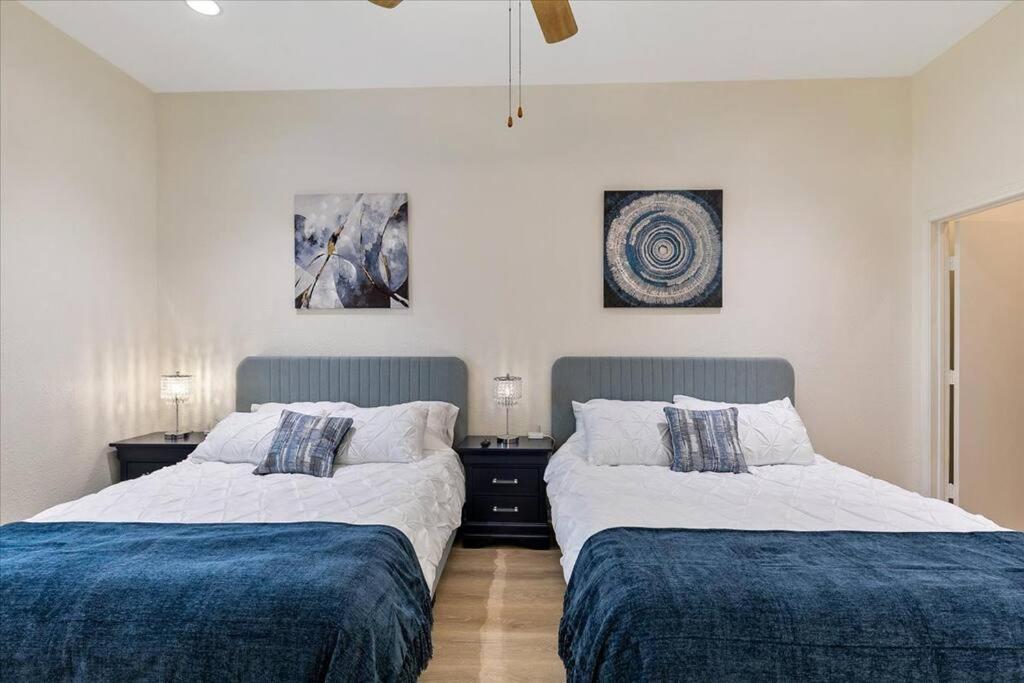 Lucky House - Tranquility In The Middle Of Houston - Tv In Every Room - 300 M2 Extérieur photo